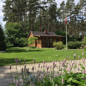 Forest house with outdoor hot tub, Jūrmala